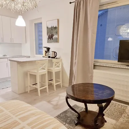 Porin Oksi, Away In Center, Free Parking Apartamento